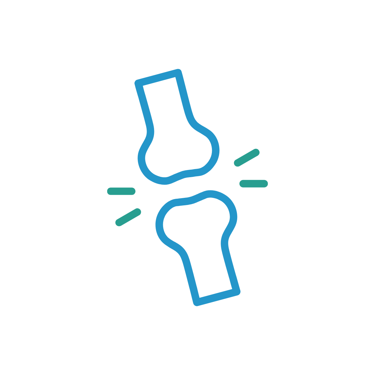 กระดูก ข้อ กล้ามเนื้อ