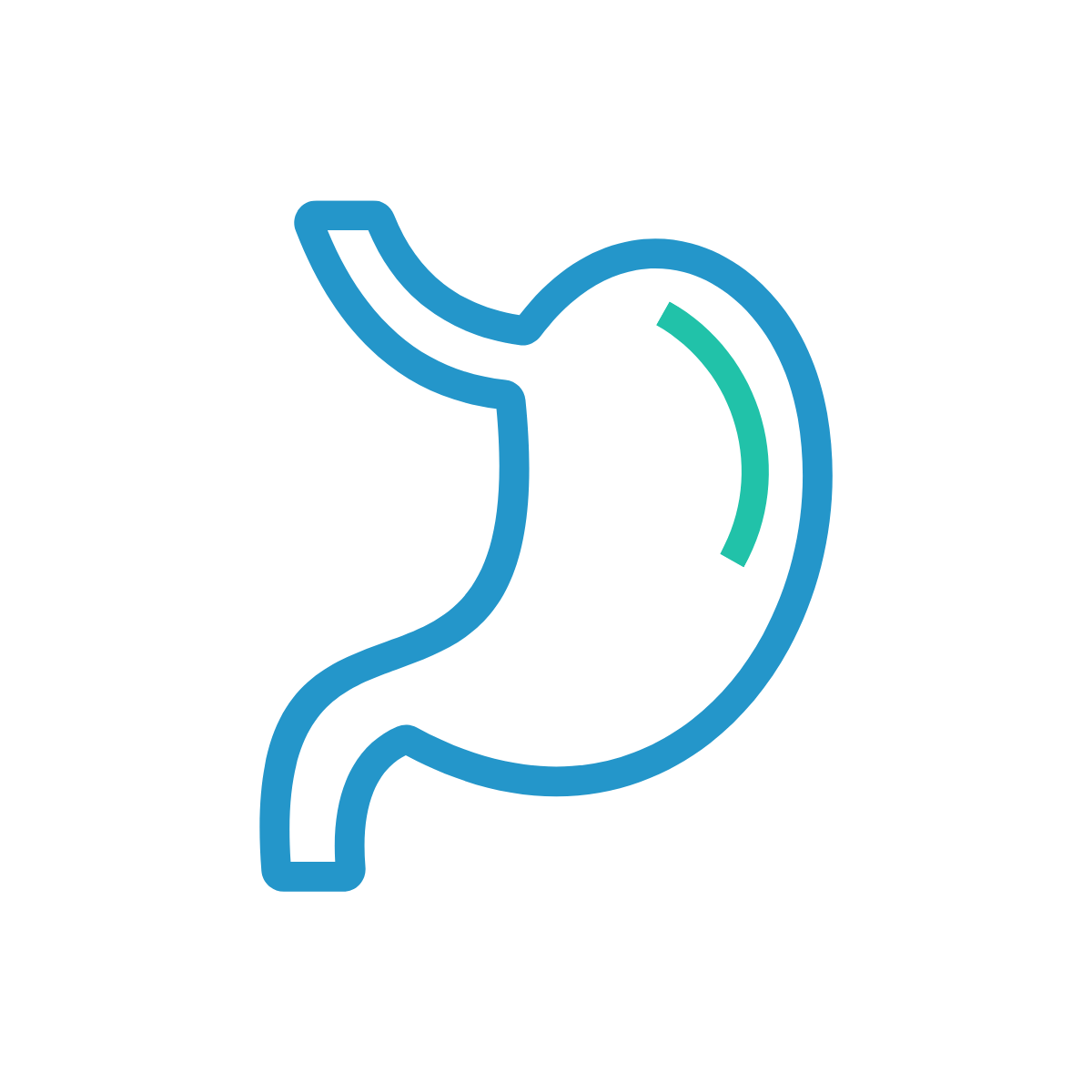 กระเพาะ / ตับ / ทางเดินอาหาร