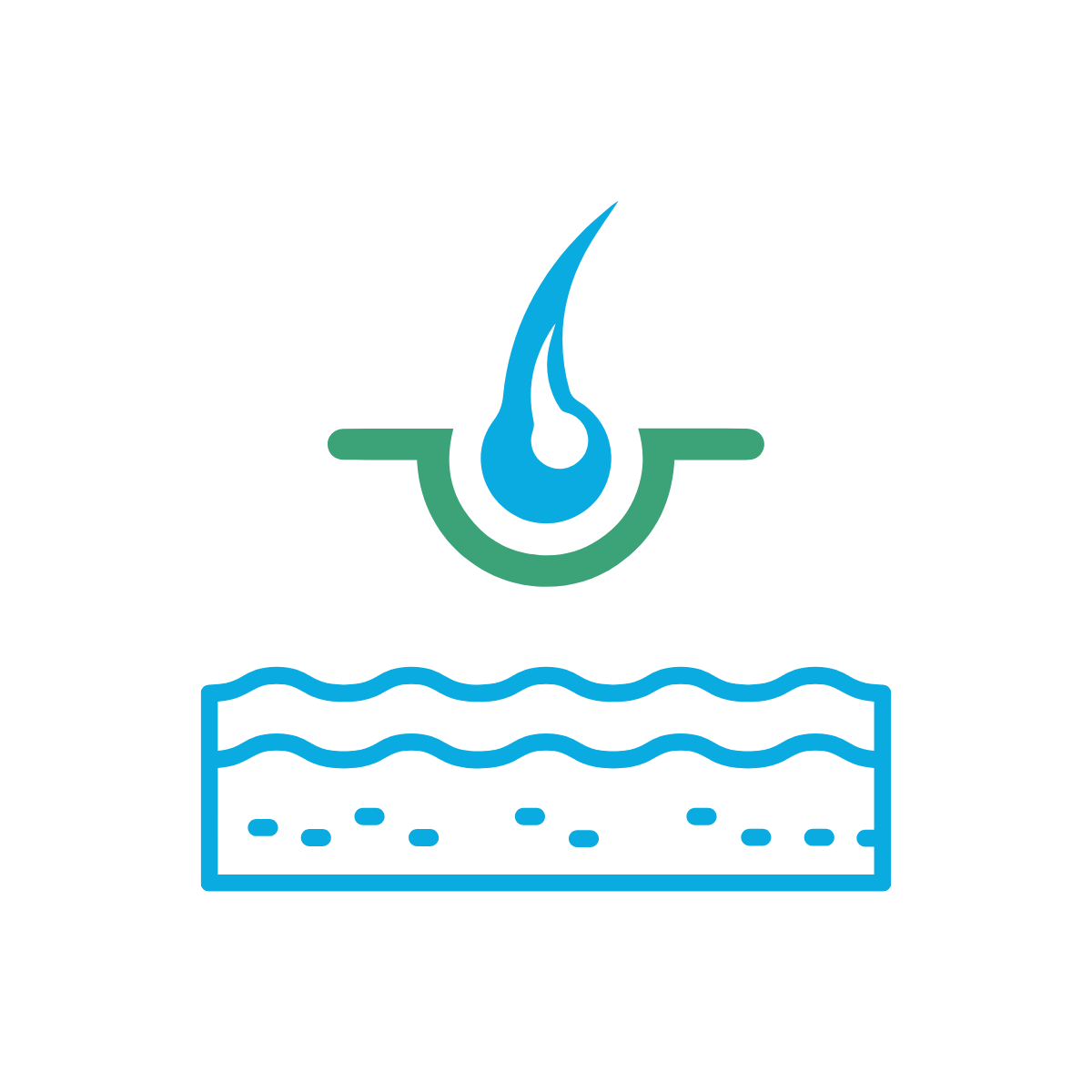 ผิวหนังและเส้นผม
